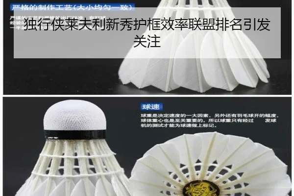 独行侠莱夫利新秀护框效率联盟排名引发关注