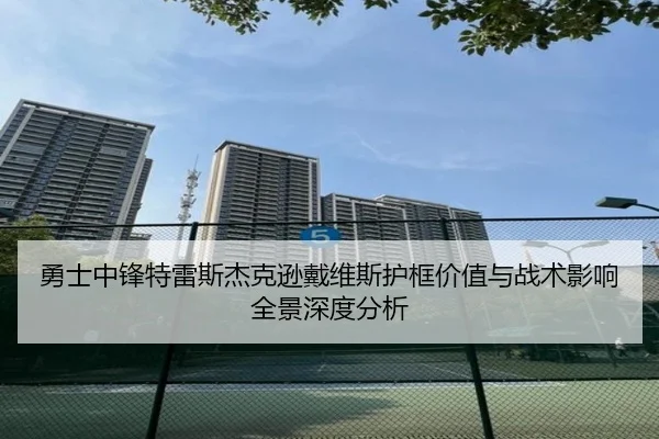 勇士中锋特雷斯杰克逊戴维斯护框价值与战术影响全景深度分析